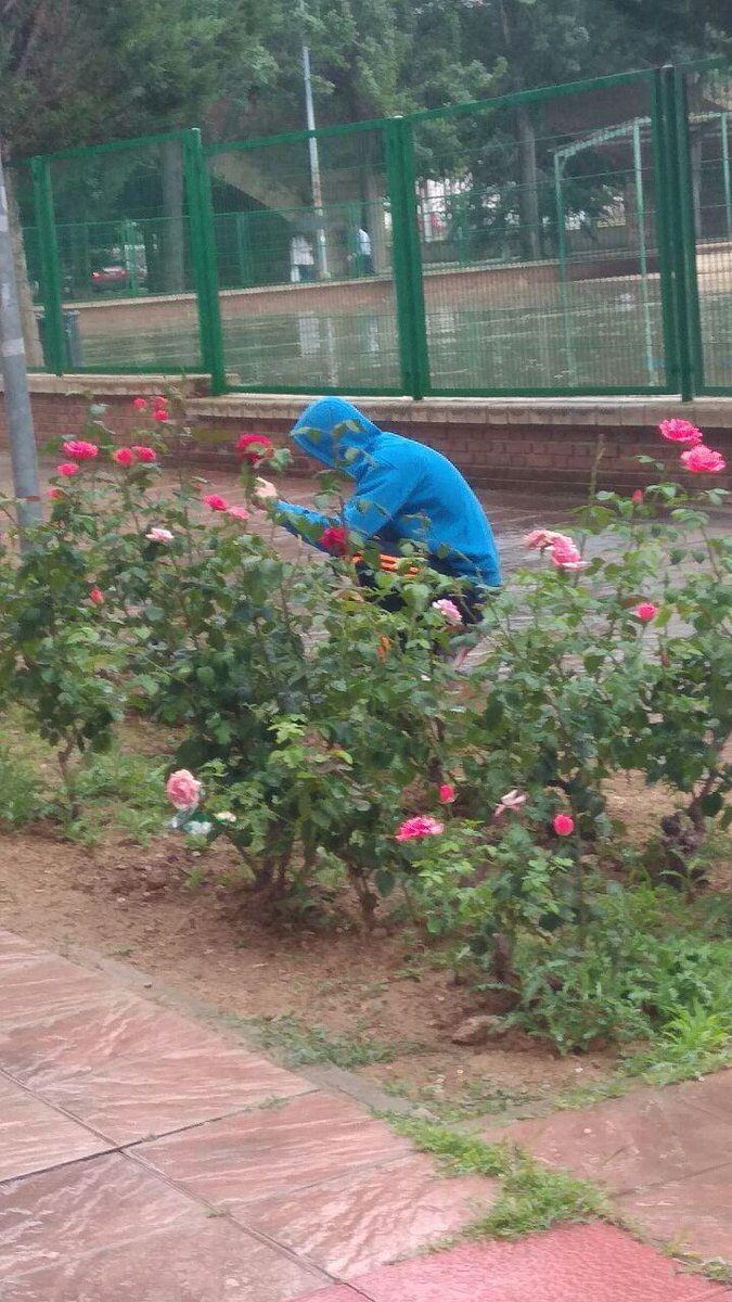 Raptorne's tweet photo. @Cadiducho  https://t.co/cl8GsS1V06
