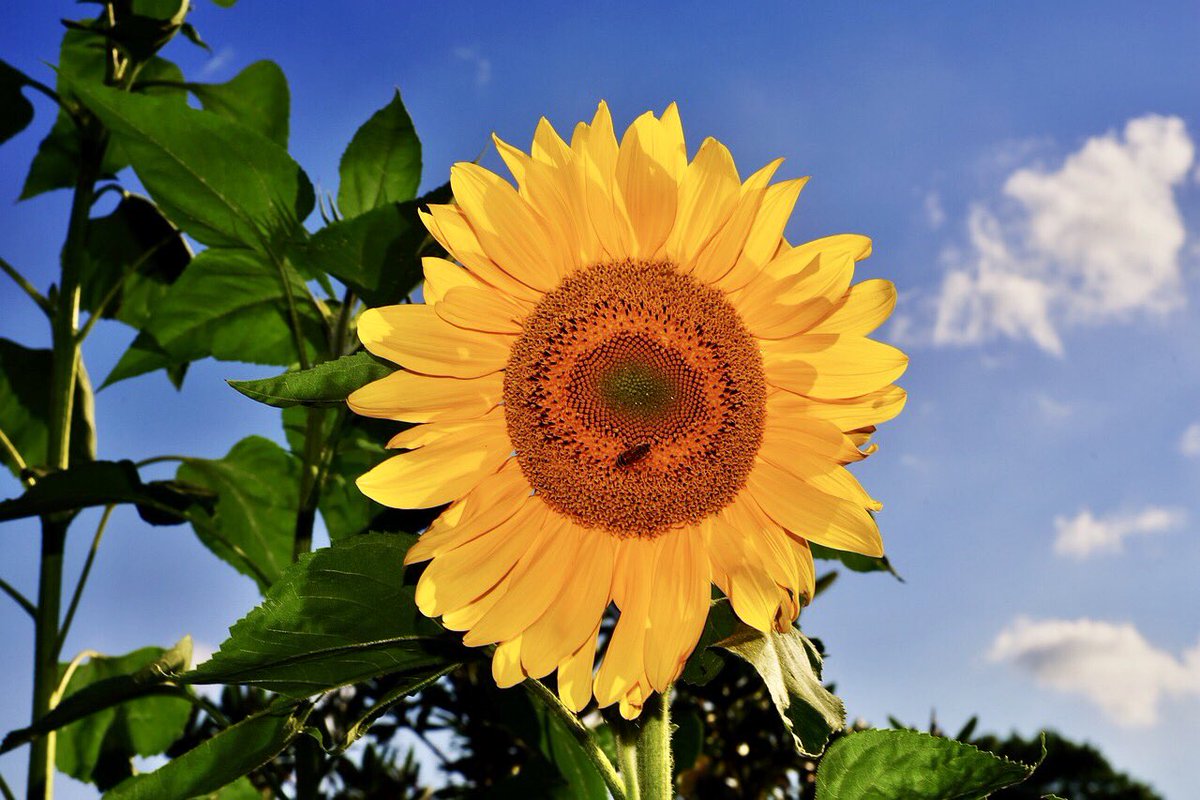 <a href="/jojobeau39/">❤Jocelyne Beauregard</a> <a href="/MomoPapat/">Monica☺</a> <a href="/DjaelleAvril/">•𝕊𝕙å𝕕𝕠𝕎•</a> <a href="/andibeth012/">Andrea Garfield</a> <a href="/mamaya19970282/">Marie-Ange</a> <a href="/SLARTZONE/">Stéphane Lefebvre - Slartzone production</a> <a href="/perle_de_miel/">josiane-mathilde</a> <a href="/NathalieMcJo/">🕊️☨🇫🇷 AVALLON 🇫🇷☨🕊️</a> <a href="/Gerryscot1/">Gerry Scot</a>  Bon week end. Bises.