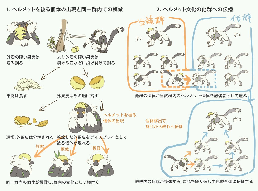 なぜナゲツケサルが皆ヘルメットを被っているのか考察。模倣説。#ナゲツケサルノート 
