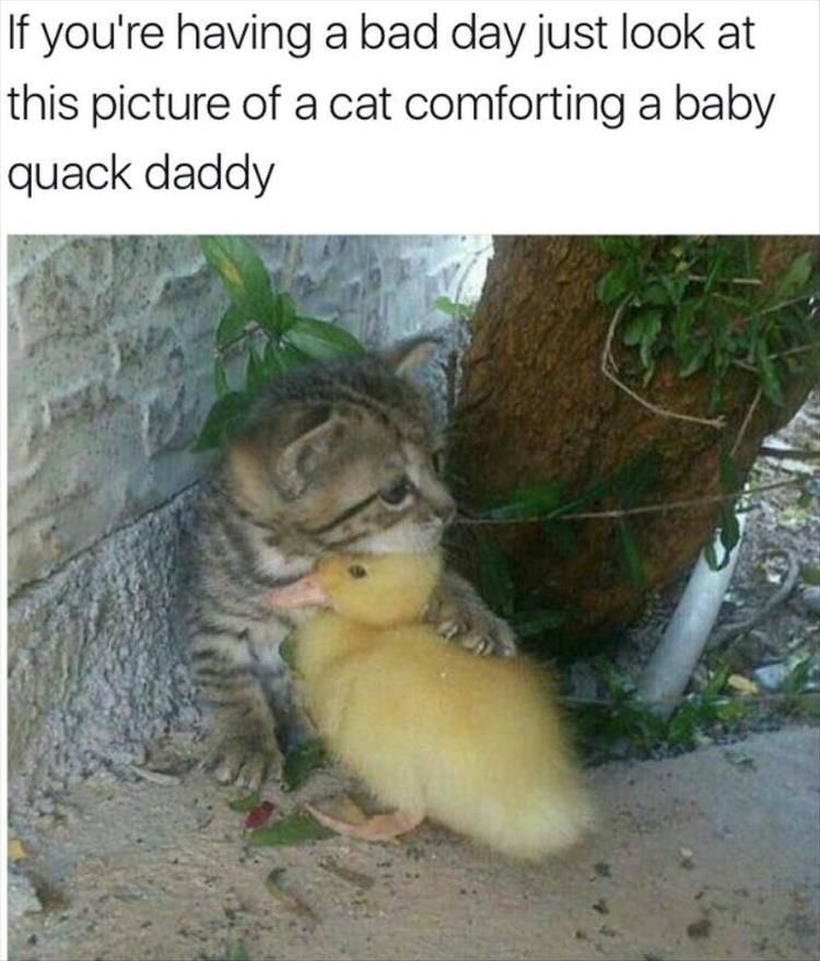 KissyMckissock's tweet photo. https://t.co/2QgVotBo48