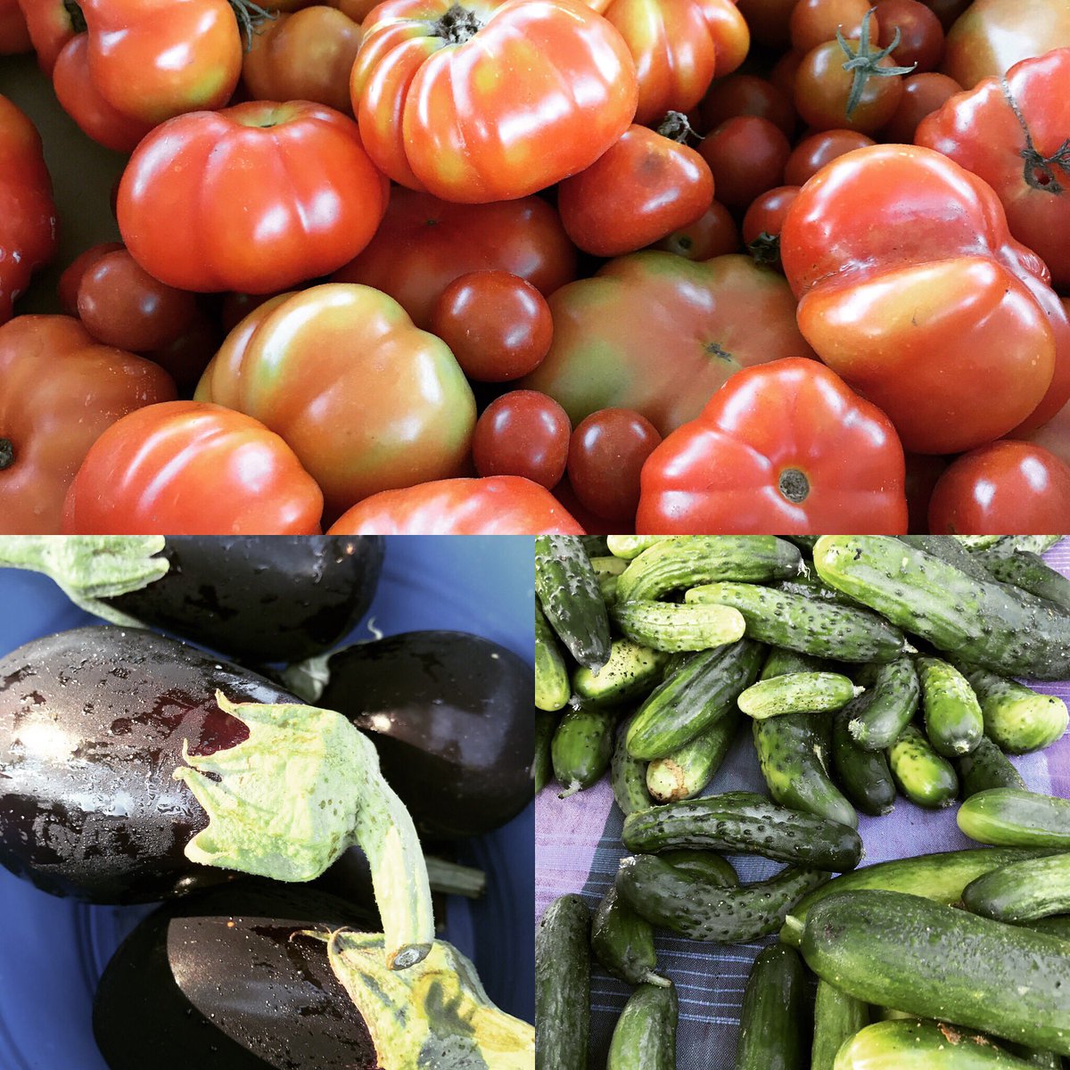 Come see us! We've got the goods. <a href="/NorthgateDurham/">NorthgateMall Durham</a> #chickpeafarm #farmersmarket #eatlocal