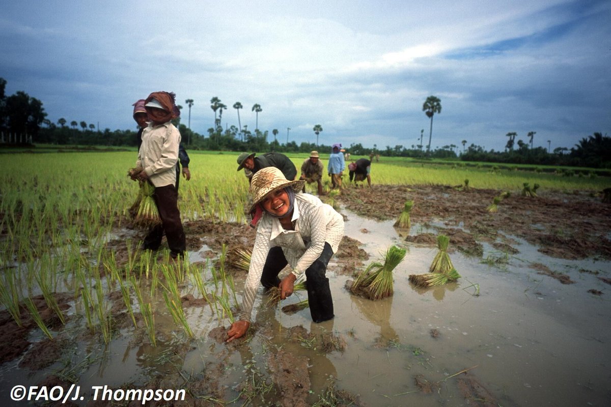 "A farmer is more than just a food producer. #Farmers look after our ecosystem as a whole &amp; keep it running!" -- FAO <a href="/cmfrick/">Martin Frick</a> #zerohunger