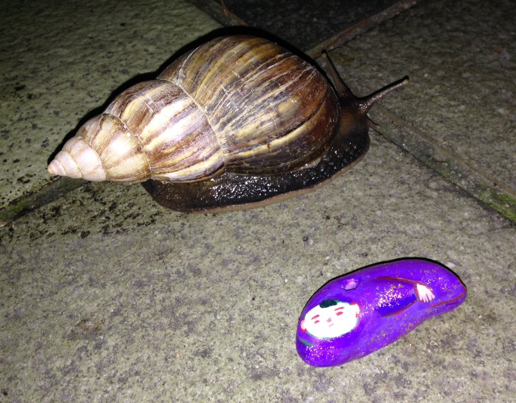 #giant #snail #Singapore #TenoriInori @MaruDeMocci どこ行くんだろう？