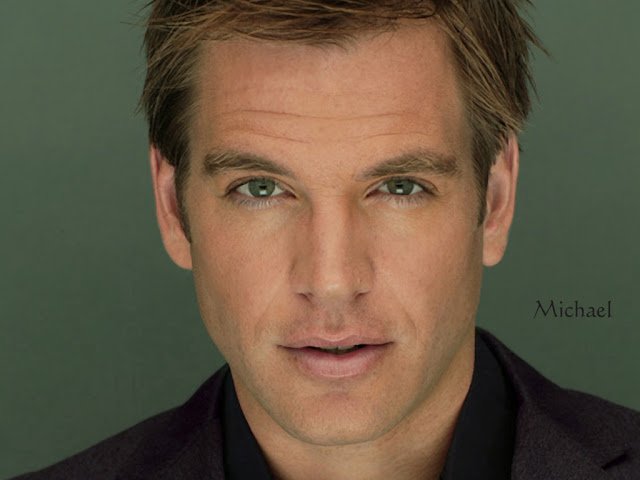 Happy birthday Michael Weatherly        