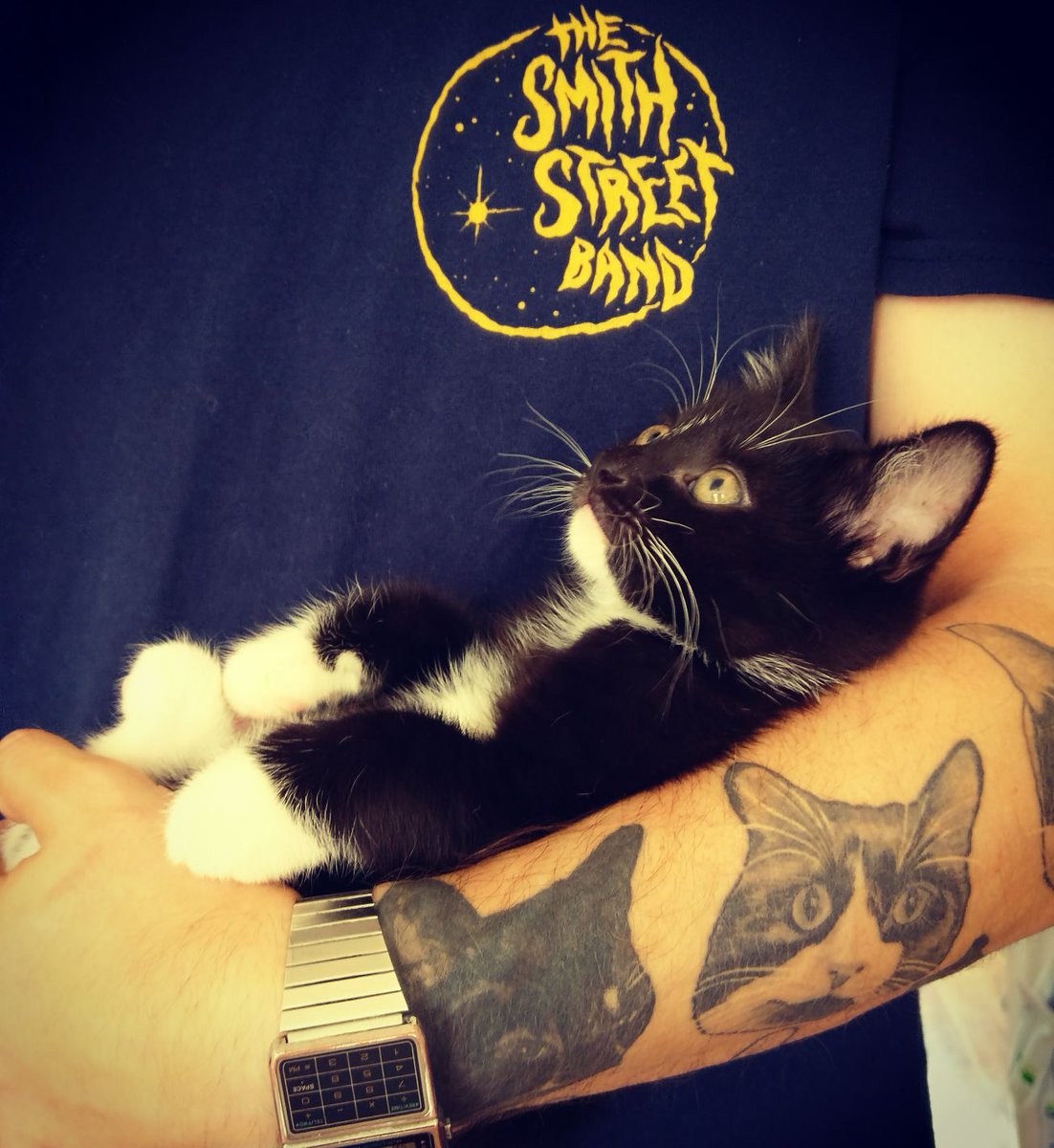 mopernoise's tweet photo. @smithstband starting them young (drunk)... https://t.co/adOpboBYun