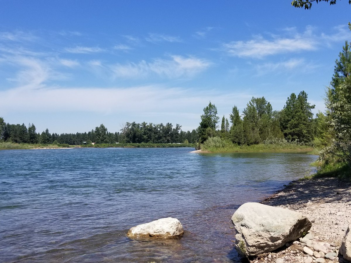 flatheadshuttle's tweet photo. Kokanee Bend access. Looking quiet and inviting! #flathead#rivershuttle#glacierpark#fish https://t.co/NlipyR8Cyp
