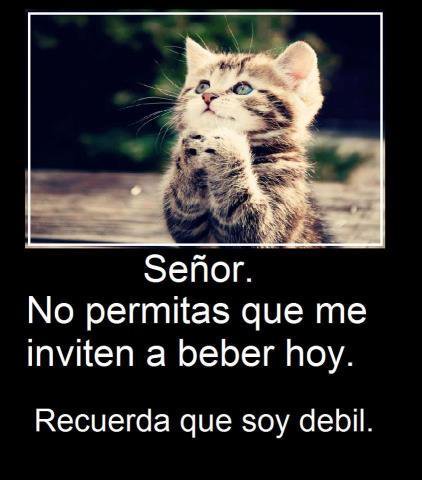 DairaQuintero2's tweet photo. Hl que https://t.co/rw0YWEMXi5