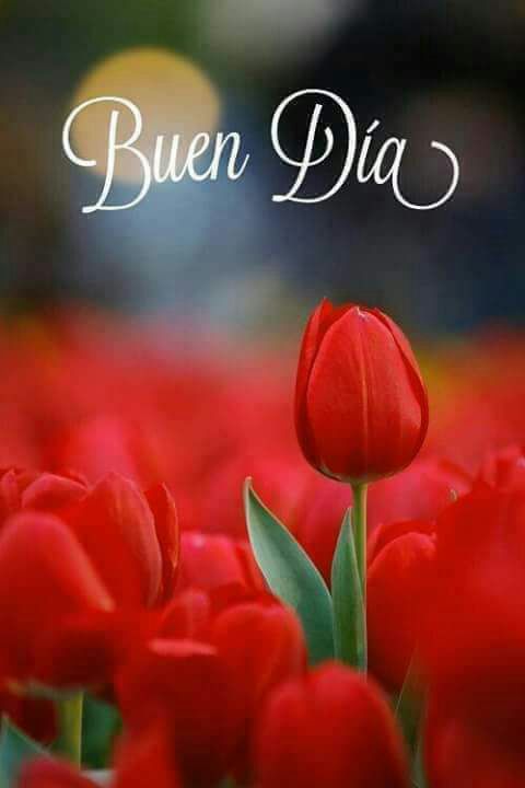 kaynog22's tweet photo. Gracias....
#FelizSabado 
#tu https://t.co/g5l4cX26si