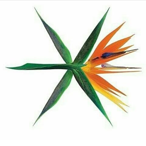 dewianggitass's tweet photo. #EXO
#KoKoBop
#TheWarEXO https://t.co/BvRhqvvqfO