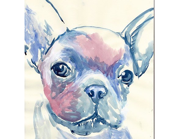 OscarJetson's tweet photo. French bulldog print ,French Bulldog art, frenchie decor, French… https://t.co/S7DiFgM8NG #dogoftheday #FrenchieGift https://t.co/ctUgl8x7kB