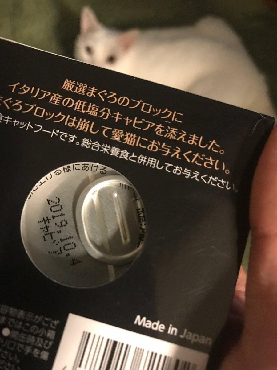 伊東歌詞太郎 キャッツのご飯を作成しようと思い差し入れでいただいたものを見て衝撃 キャビアだと ぼくが今日食べたものはカロリーメイトとカップ油そばだぞ 伊東歌詞太郎 キャッツのご飯を作成しようと思い差し入れでいただいたものを見て衝撃 キャビアだと ぼくが今日食べたものはカロリーメイトとカップ油そばだぞ