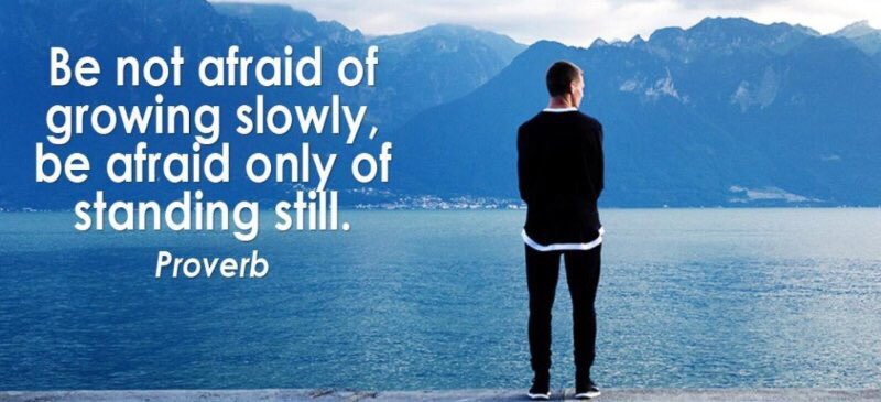 rafique2000bd's tweet photo. Be not afraid of growing slowly, be afraid only of standing still. https://t.co/0BbGnZBk3M
