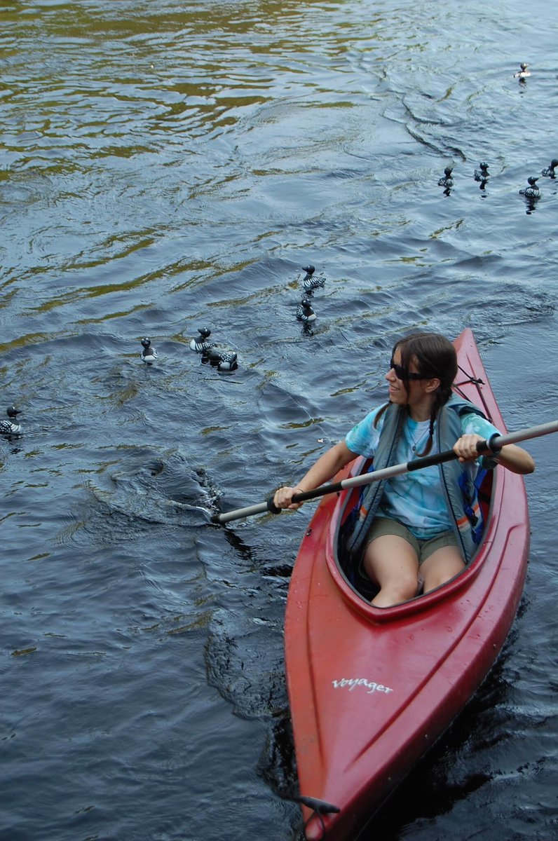 NewcombCampus's tweet photo. Click to buy or sponsor a loon today! Profits go to making sure that everyone has a chance to enjoy the Adirondacks https://t.co/GCSfyb79EK https://t.co/NuUhGp1KrC