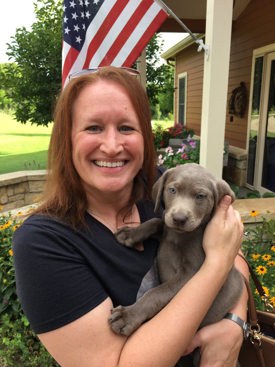 r_denbeste's tweet photo. Meet Jade. She is an 8 week old silver lab. https://t.co/YgrqTt9Mei