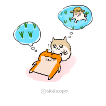 noporico's tweet photo. クソハムちゃんに別種の仲間ができました。
ロボロフスキーの「コビハムちゃん」です。媚びていますね。
#コビハムちゃん https://t.co/mWj9Vr3Y1G