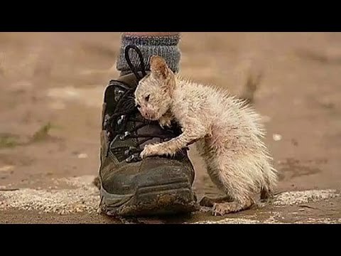 “It cost nothing to be Kind to another,
But what Kindness does to the other is Priceless!” 💖
#quote ✨🌸 
#BeKind  ツ👍