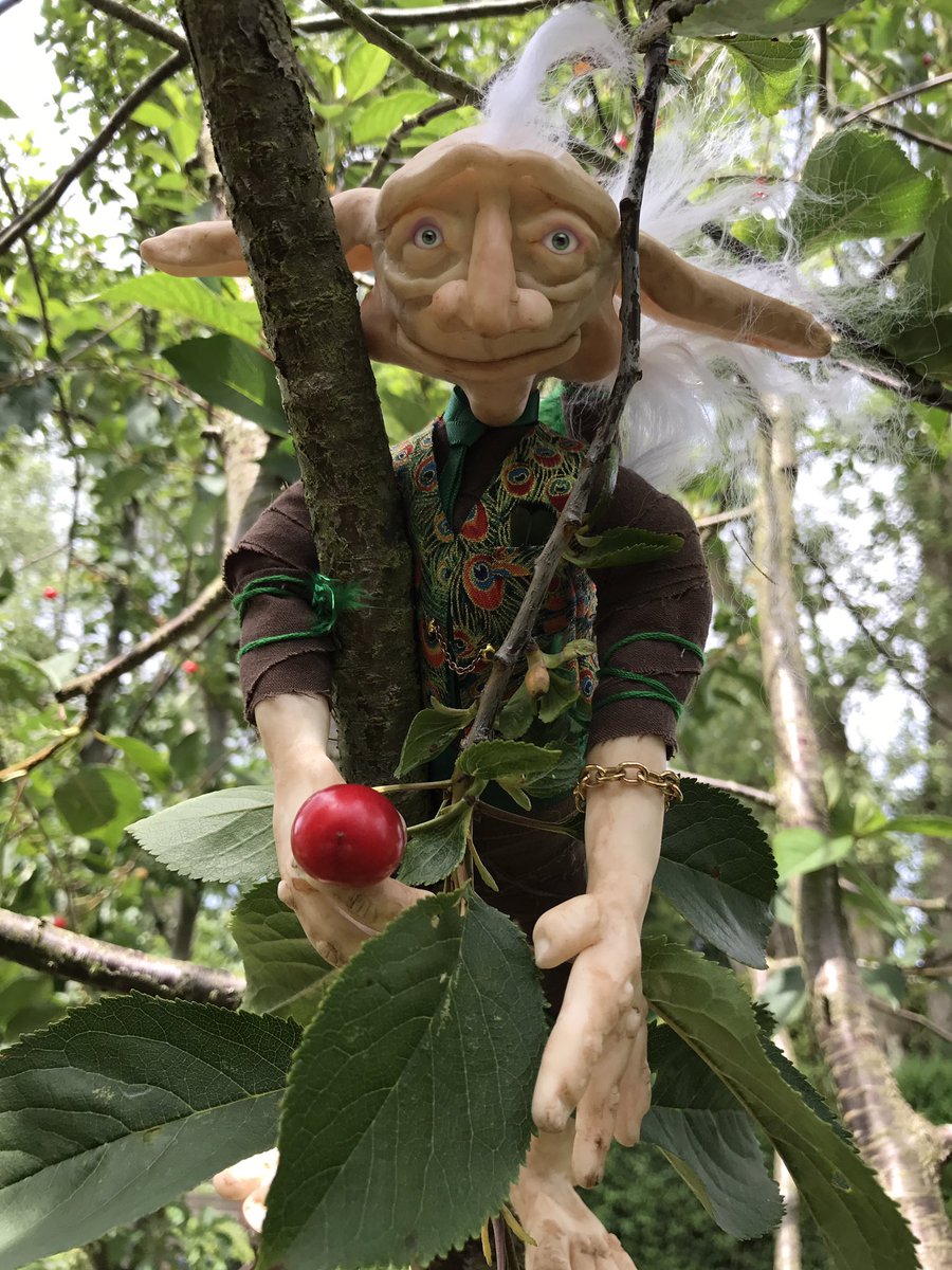 Sir Vival and the other Orticals have been fruit picking today. Let's hope he can get down ok #autism #autismacceptance