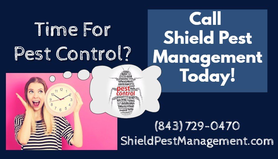 ShieldPests's tweet photo. It's that time again! We can solve your pest problems! #PutUpYourShield https://t.co/tKJYD1mkcM 843-729-0470 #Lowcountry #SummervilleSC #chs https://t.co/XrJF9C7iVc