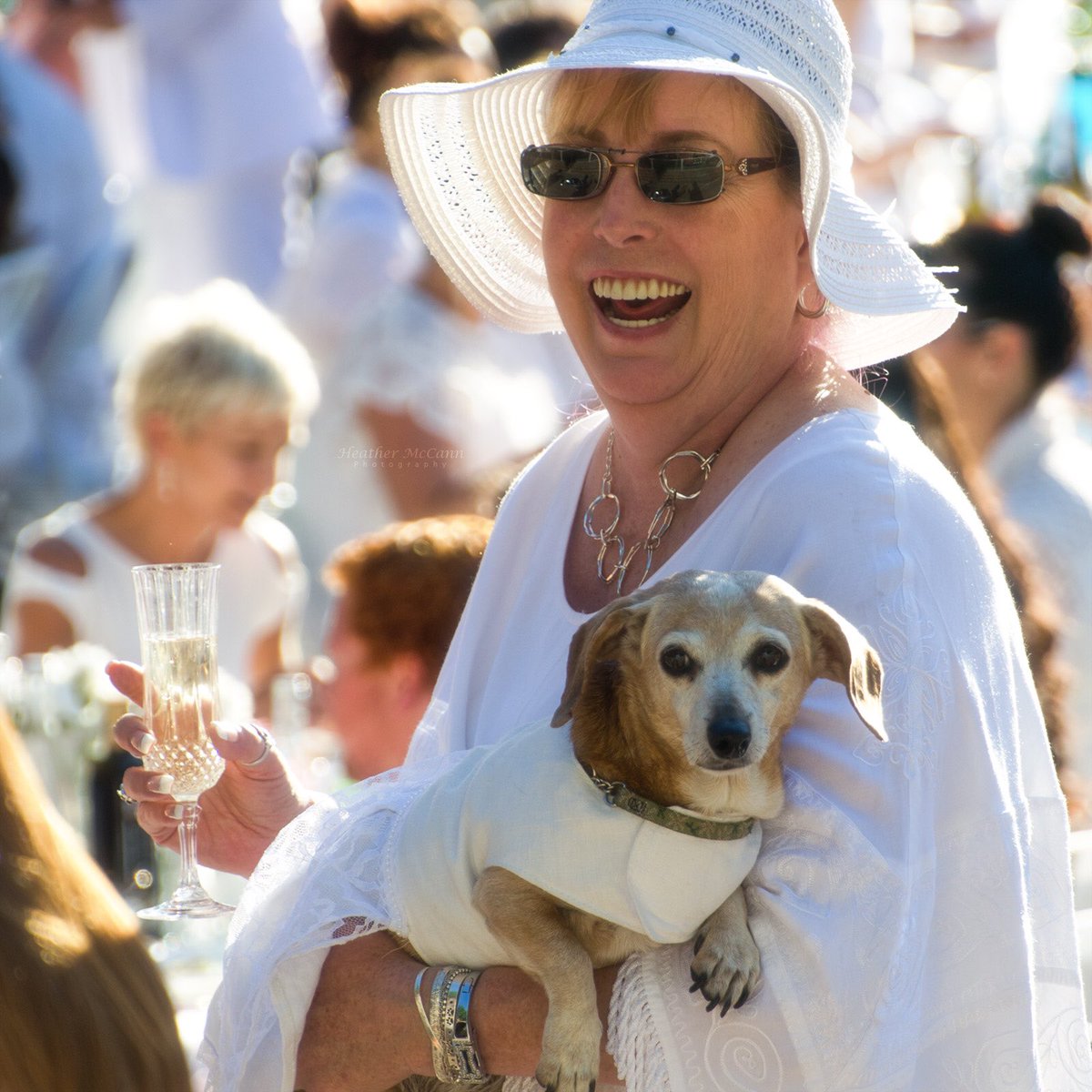 HMcPhoto's tweet photo. @DinerEnBlancVIC Fun for the whole family? #DEBVictoria #dinerenblanc #yyj #photography #events #dogsdayout https://t.co/G4cl4NgZcJ