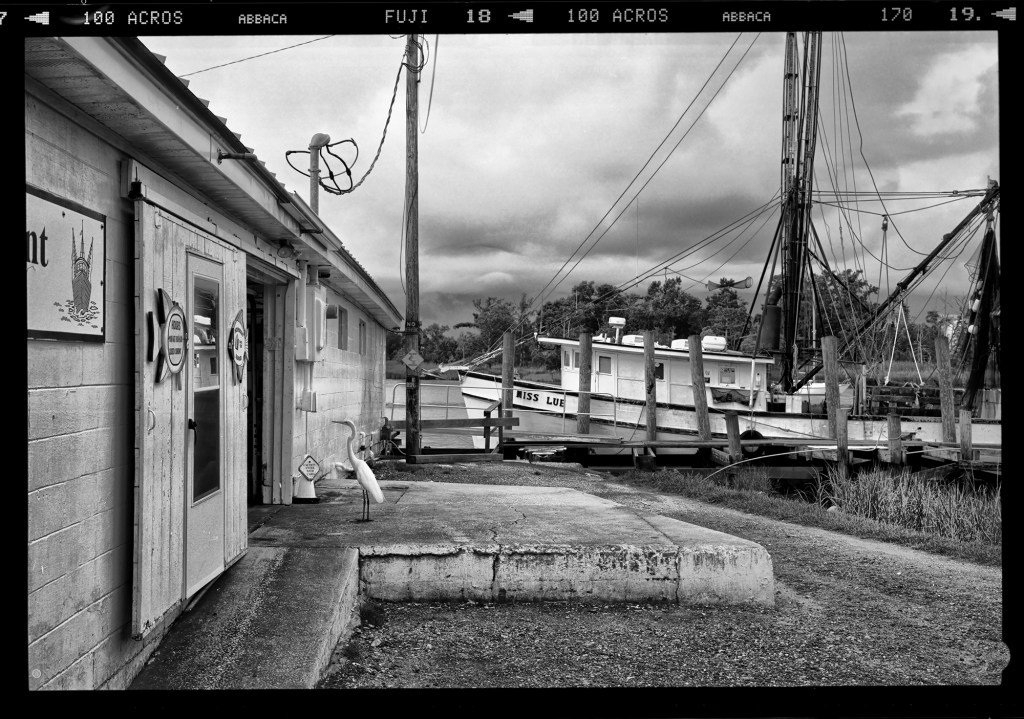 LensWorkGallery tweet picture