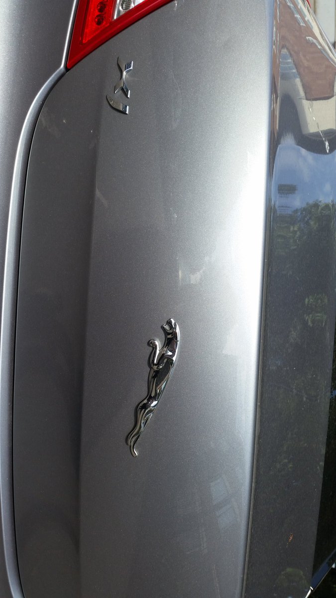 RealDeclanD's tweet photo. Seen 2 nice jags thought you might like them @ProSyndicate BTW love #TheSimdicateProject and the vlogs keep up the good work Tom https://t.co/tB9UISGl9q