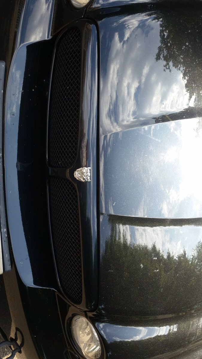 RealDeclanD's tweet photo. Seen 2 nice jags thought you might like them @ProSyndicate BTW love #TheSimdicateProject and the vlogs keep up the good work Tom https://t.co/tB9UISGl9q