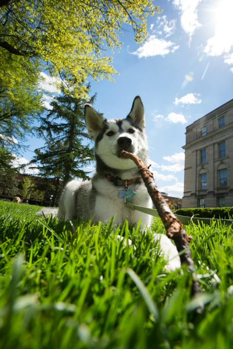 View image on Twitter View image on Twitter