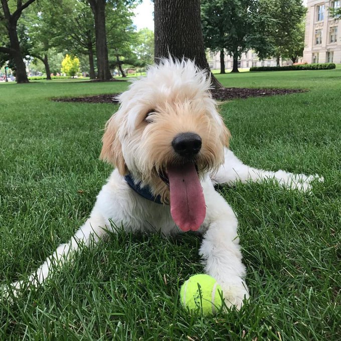 View image on Twitter View image on Twitter