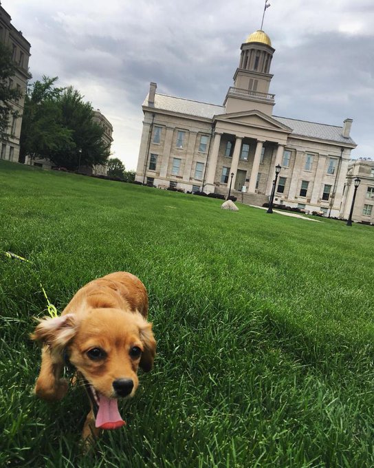 View image on Twitter View image on Twitter