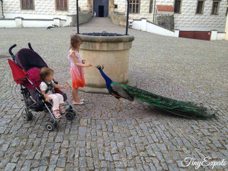 tinyexpats tweet picture