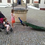 Photo by Tiny Expats (@tinyexpats)