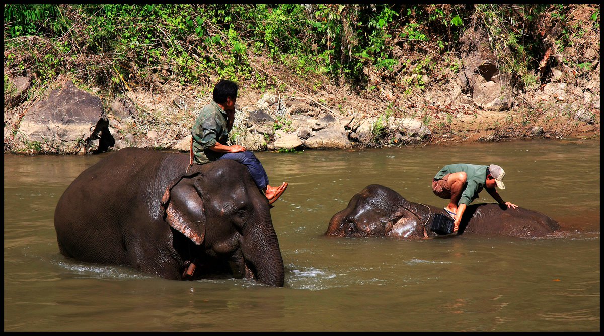 NEW TRIP 
Thailand, 15 Days of the North + South w/ Kim Wilkinson
-> breatheinlife.com/trainings/thai…