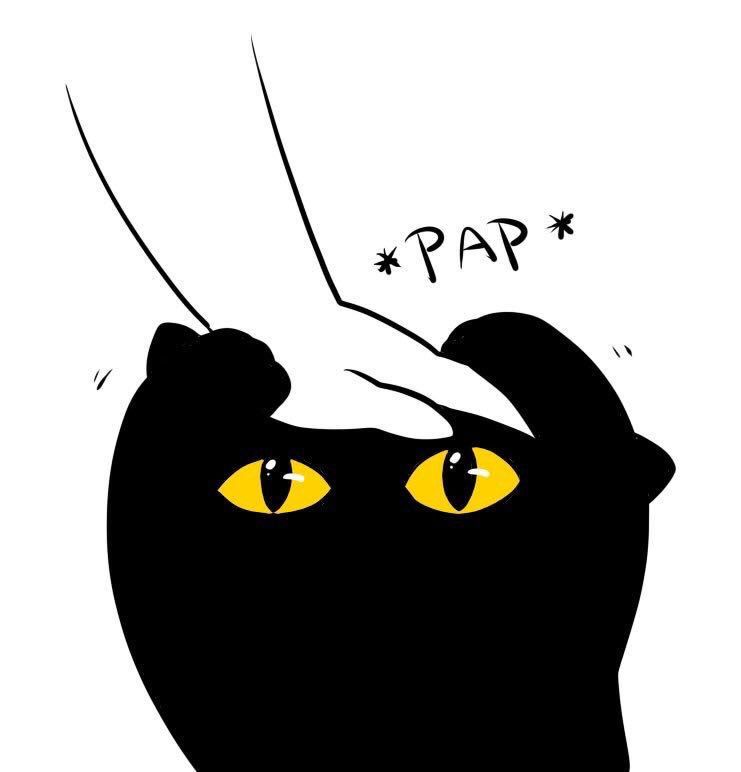 Alextrxm's tweet photo. ce chat c'est moi quand j'ai besoin d'attention https://t.co/fBriXRA9vp