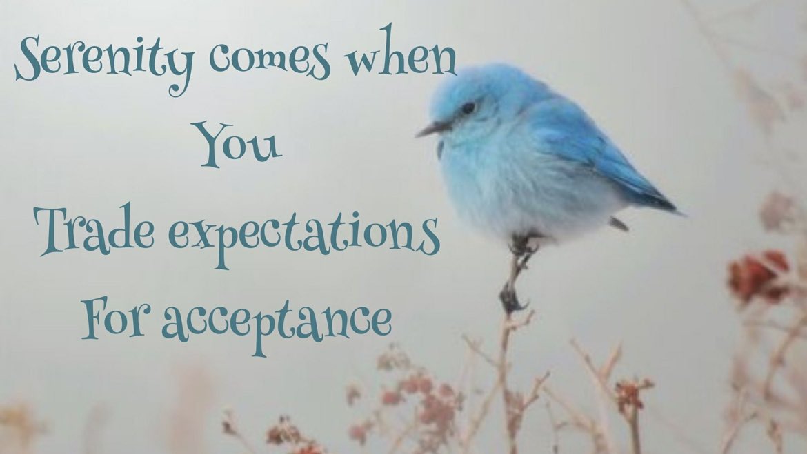 Serenity comes when... #Meditation #Mindfulness