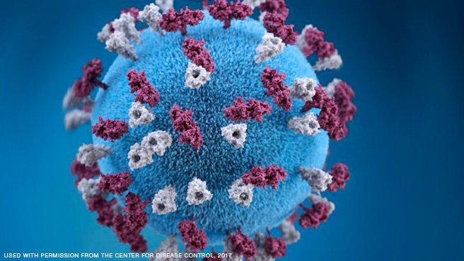 MayoClinic's tweet photo. From idea to application, scientists are working to develop cancer-killing viruses:  
https://t.co/1BbrbXqgKO https://t.co/xPzVSY0qwG