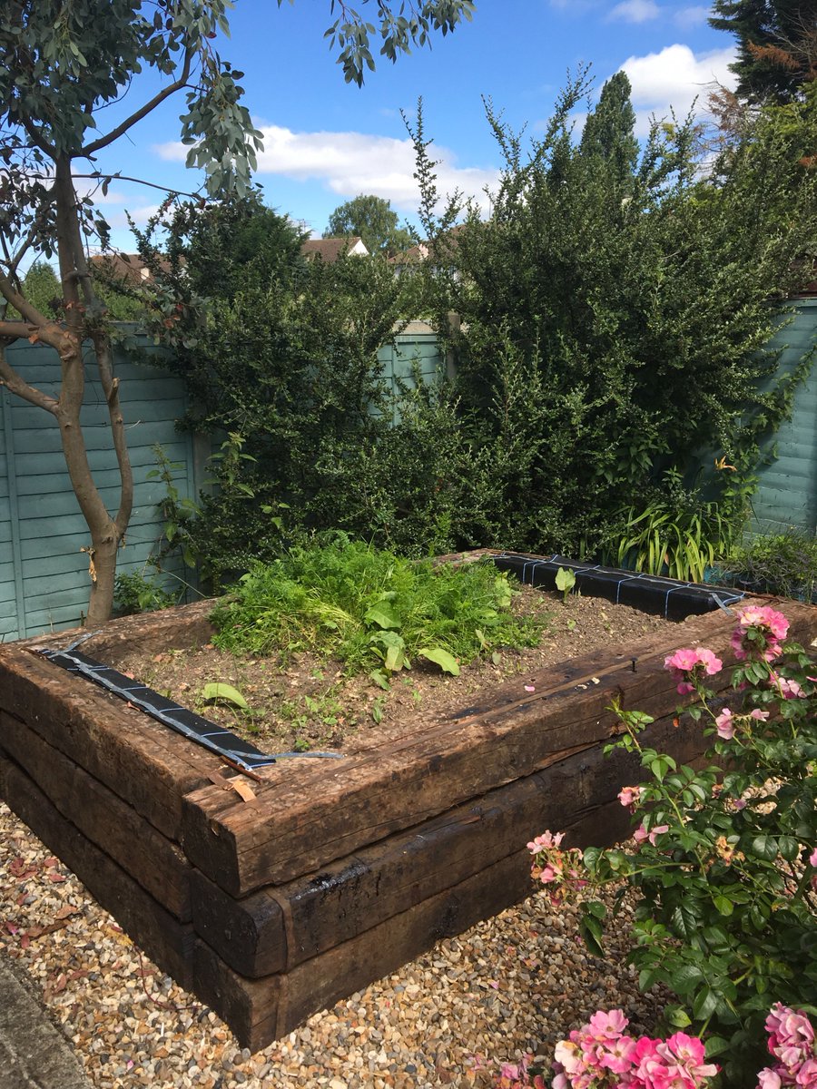 thepensioneers's tweet photo. Client asked us to clear her mini allotment &amp;'recommend next planting. Kale &amp; chard in the #homeallotment. Hire our #gardener #chelmsford https://t.co/iNna2xLNkc