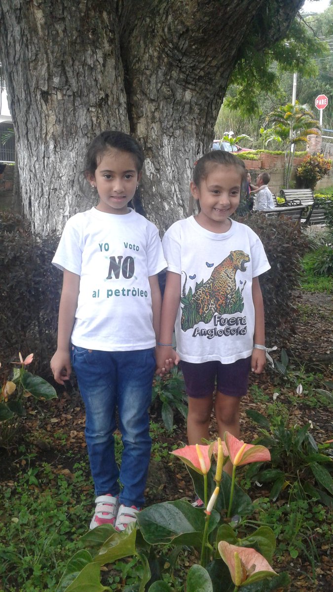 Cosajuca's tweet photo. #DosFrenosALaLocomotora Arbelaez y Pijao Votan NO al extractivismo #ArbelaezVotaNo @CarnavalQ @VotoNOMineria https://t.co/CEj9FykKeB