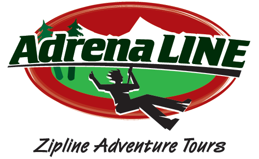 ILPVictoria's tweet photo. Fly above the tree tops with @AdrenaLINE, flaunt your room key here for 10% off all regular priced tours #YYJKey https://t.co/fGv72sDbs6 https://t.co/BLLcquHZaJ