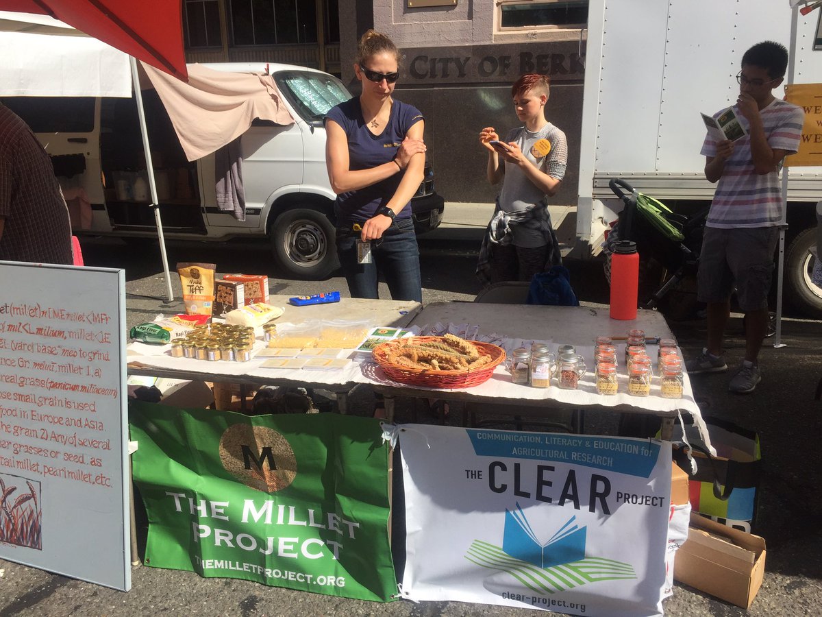 ucbclear's tweet image. Come see us at @ the farmer's market! Today we're talking about millets #scicomm