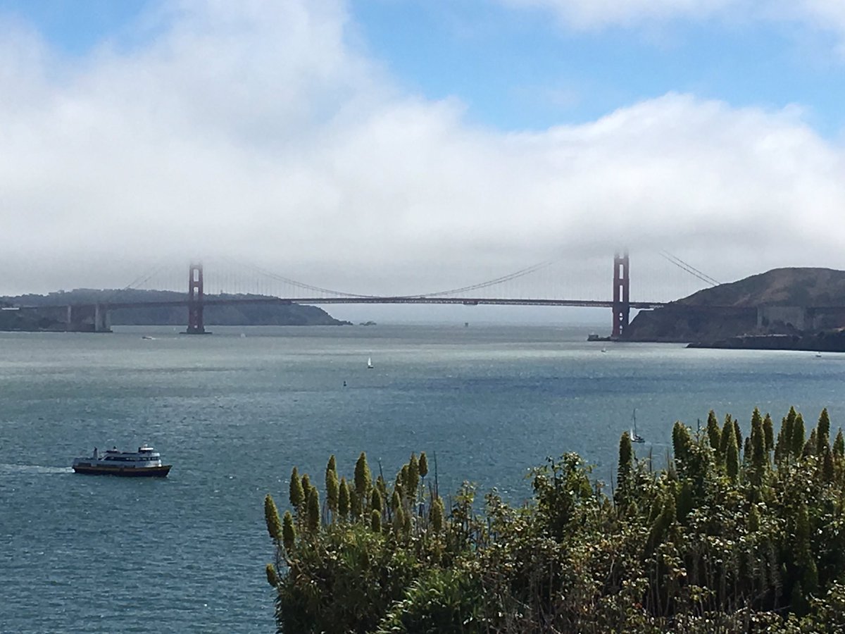 aprilleticia's tweet photo. ✌🏾Back to the East Coast. Thanks #PMDMC17 folks for a great conference. https://t.co/dQTZqqpcsW
