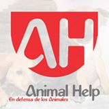 colectateuy's tweet photo. Más de 25 Protectoras de animales cuentan su historia. Te invitamos a conocer más ... 😺🐴🐶  #ColectaTe   https://t.co/4QNSMIqjRK https://t.co/xxSnkJwTET
