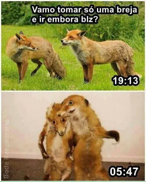 peixotomoacir's tweet photo. Só que não. 
#Beta_RT_beta https://t.co/XWJxreHZ5L