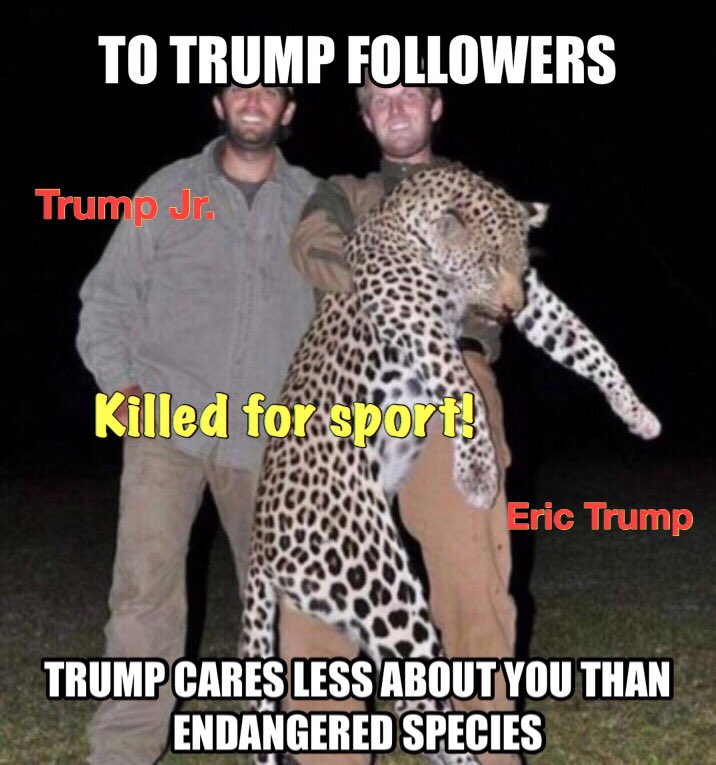 AliciaHollinger's tweet photo. @perlmutations I wish the endangered species would fight back. #ThePlanetFirst https://t.co/nm7hgnYizv