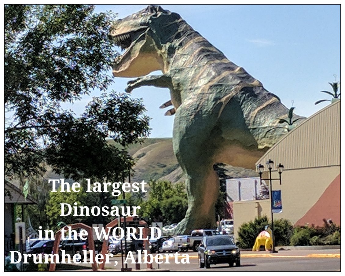 flashfarley's tweet image. I just found the LARGEST DINOSAUR IN THE WORLD. 
#Dinosaur #flashfarley