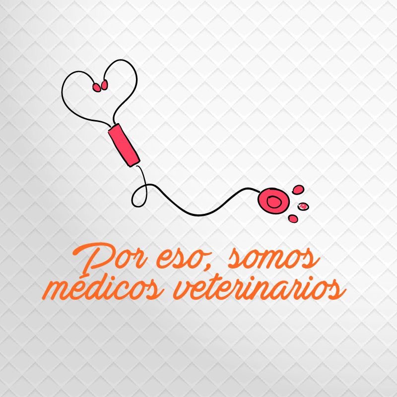easypet_'s tweet photo. Feliz #DíaDelVeterinario de parte de todo el equipo de #EasyPet https://t.co/AVqePl3Z3U