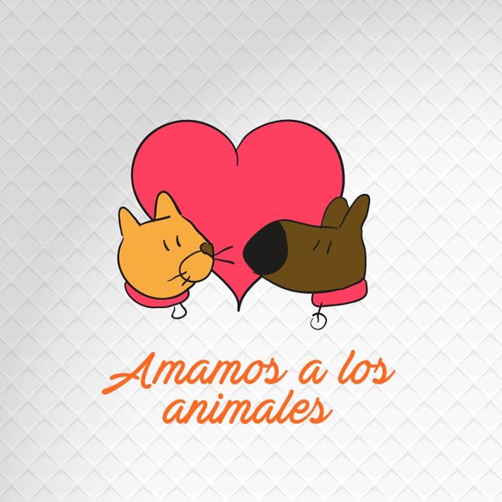 easypet_'s tweet photo. Feliz #DíaDelVeterinario de parte de todo el equipo de #EasyPet https://t.co/AVqePl3Z3U