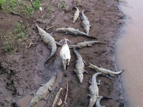 CauseWereGuys's tweet photo. Even though I walk through the darkest valley, I will fear no evil. https://t.co/7KKqkJOXO3