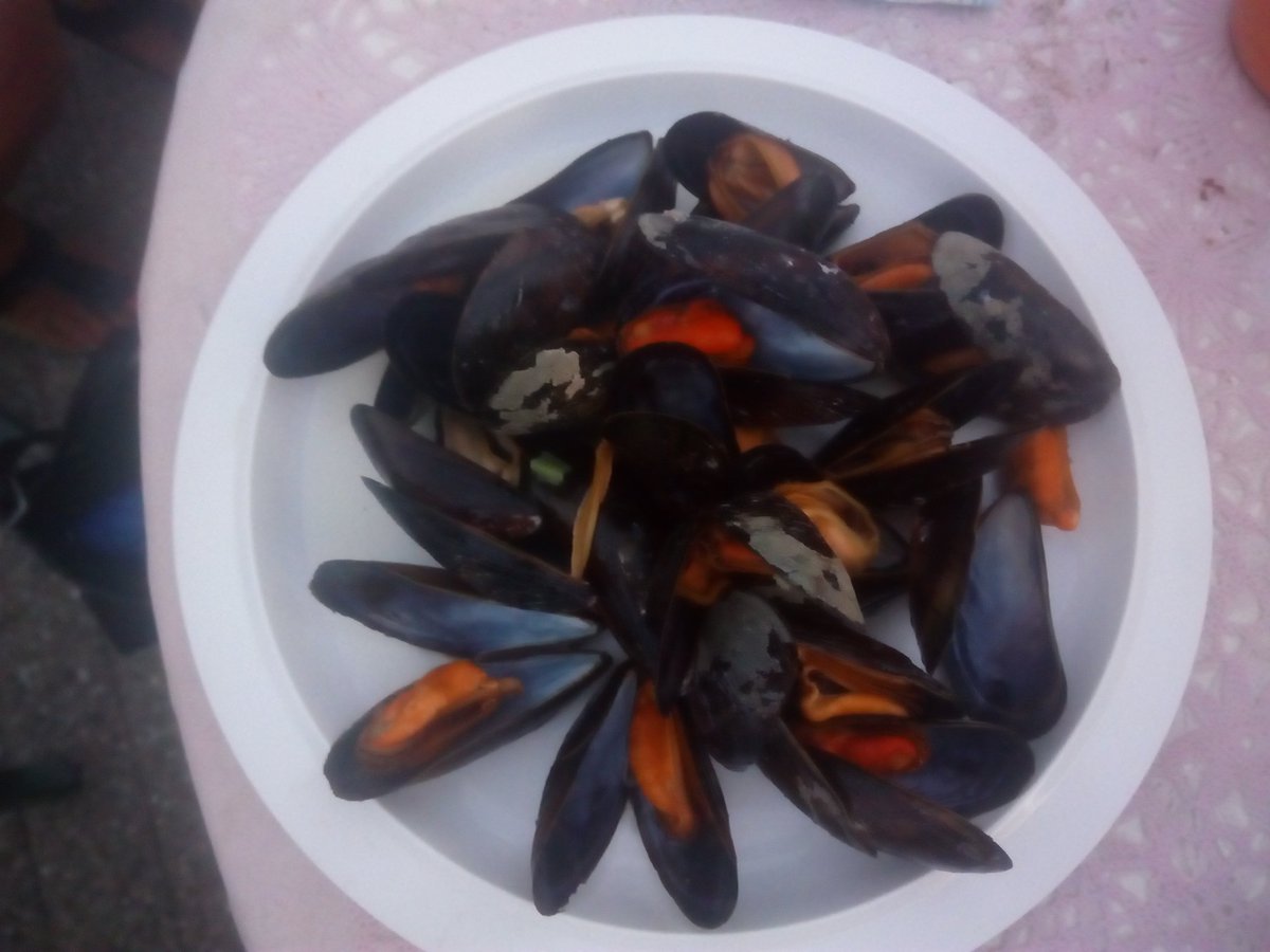 vlaschaar's tweet photo. Met de campinggasten mossels gegeten, ze waren heerlijk. https://t.co/114eTTaYHS