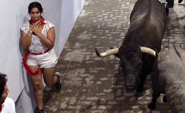 LaPijortera's tweet photo. Ahí viene el toro que te gusta, actúa con normalidad. https://t.co/I0MhEXGLUe