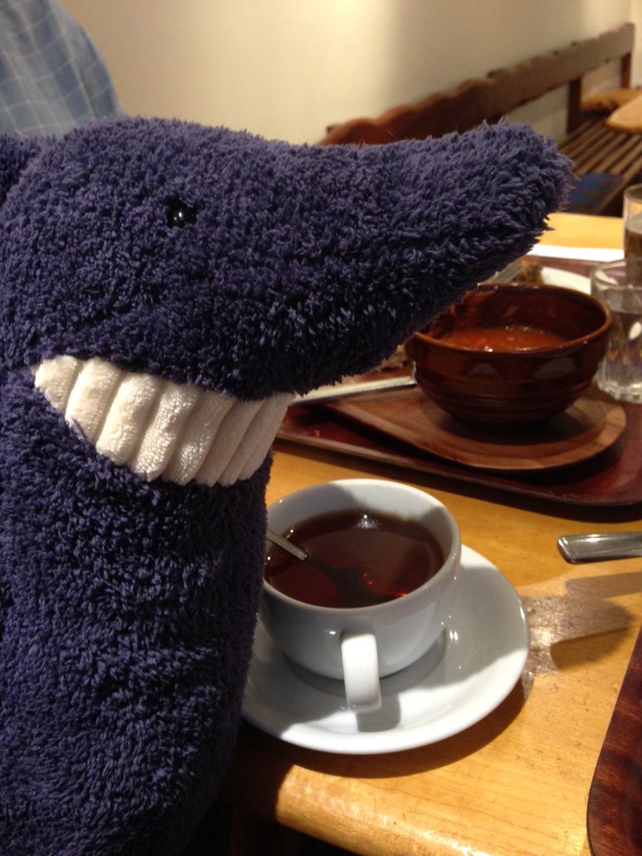 iain_shark's tweet photo. Better start getting used to drinking tea for next week’s #playlearn17 https://t.co/mi5rKkxAHd